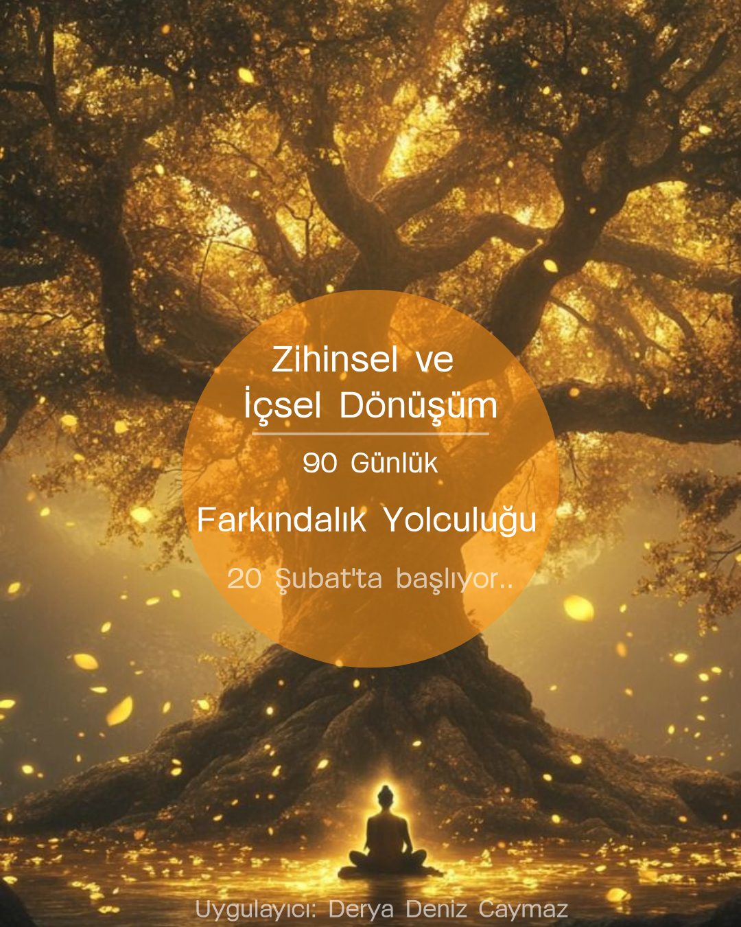 Zihinsel Ve İçsel Dönüşüm Farkındalık Yolculuğu