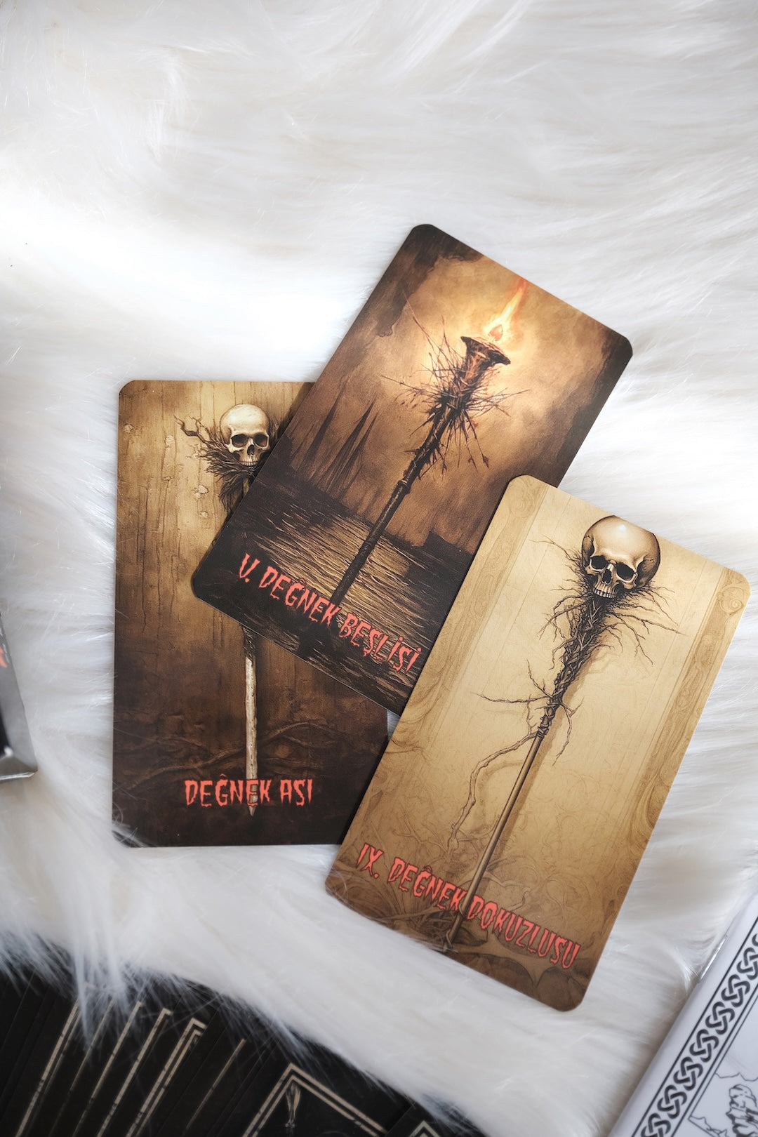 Horror Tarot Destesi